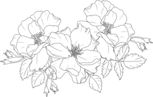 doodle line art rose bouquet di fiori elementi png