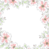 doodle line art rose flower bouquet wreath frame square background png
