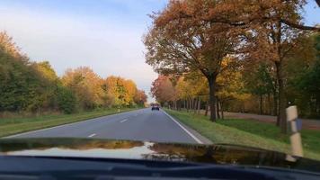 vista attraverso il parabrezza di un'auto in movimento attraverso un viale di alberi colorati autunnali. video