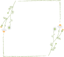 schöner minimaler quadratischer Rahmen der weißen Kamillenblume png