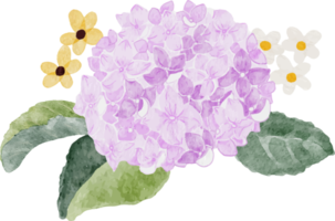 camélia branca aquarela e buquê de flores de hortênsia roxa png