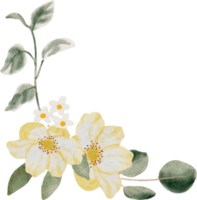 aquarelle hortensia et bouquet de fleurs sauvages