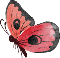 akvarell handritad färgglad fjäril png