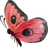 aquarell handgezeichneter bunter schmetterling png