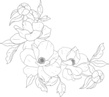 doodle linjekonst pion blomma bukett element png