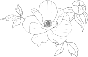 doodle line art peony flower bouquet elements png