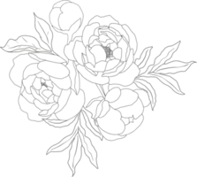 doodle line art elementos de ramo de flores de peonía png