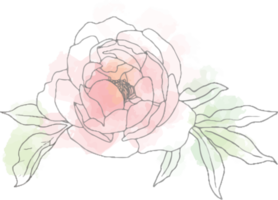 lös akvarell doodle linjekonst pion blomma bukett element png