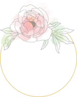 loose line art poeny flower bouquet wreath with golden frame png