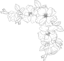 doodle line art rose bouquet di fiori elementi png