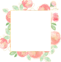 bouquet di fiori di rosa sciolti ad acquerello con sfondo distintivo banner quadrato oro linea arte png