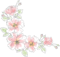 elementos de ramo de flores de rosa de arte de línea de doodle de acuarela suelta png