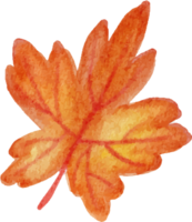 elementos de folhas de outono em aquarela png