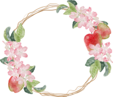 watercolor apple blossom and ripe fruit wreath frame png