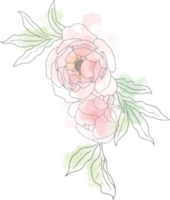lös akvarell doodle linjekonst pion blomma bukett element png