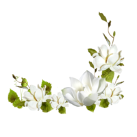 White Rose Flower Corner PNG and Transparent Clipart Image