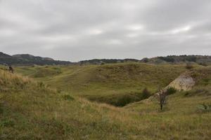 Landscape in the Midwest Under Dark Skies photo