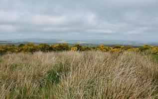 Dark Gray Clouds Over the Moorland in North Yorkshire photo
