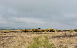 Coast to Coast Path Through Moorland in North Yorkshire photo