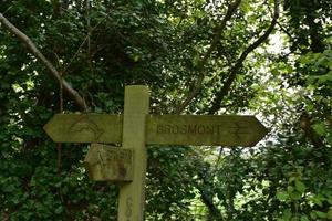 Grosmont Wooden Sign Post Along the Coast to Coast Trail photo