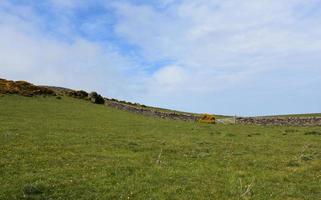 Stonewall as a Boundry Marker Across a Field in Northern England photo