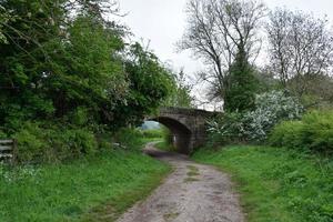 Dirt Walking Trail Passing Underneath a Bridge photo