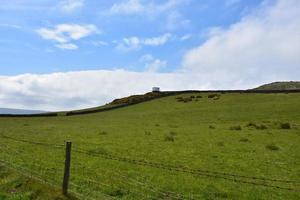 Farmland with a Grass Pasture and Tower in the Distance photo