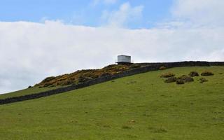 Spring Day with a Hill and Growing Gorse Bushes photo