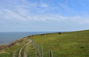 Precioso paseo por los acantilados a lo largo de la costa de Inglaterra foto