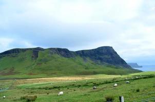 Stunning lush green highlands in the trotternish of Skye photo