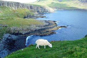 Beautiful coast of the Isle of Skye with highlands photo