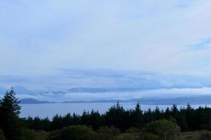 Tree Line at Bearreraig Bay photo