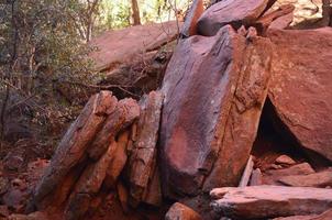 Slabs of Red Rock in a Wooded Area photo