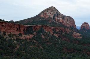 Trees Growing Along a Red Rock Butte photo