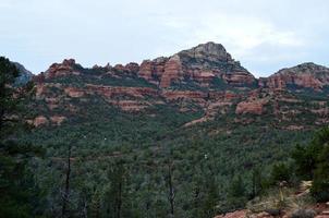 Trees Growing at the Base of Red Rock Formations photo