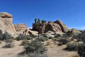 paisaje árido en el desierto de mojave en california foto