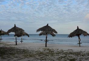 palapas vacías en las primeras horas de la mañana en una playa foto