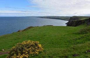 una mirada a lo largo de la costa y la costa de st bees foto