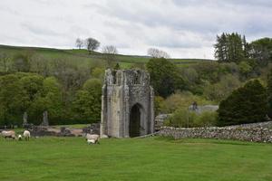 ovejas pastando por las ruinas de la abadía de shap en inglaterra foto