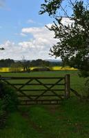 Fence Gate on English Farmland in the Spring photo