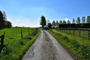 camino sinuoso a través de tierras de cultivo rural en primavera foto