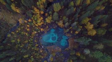 forêt d'automne et lac de geyser à l'eau bleue claire près du village d'aktash dans les montagnes de l'altaï, russie video