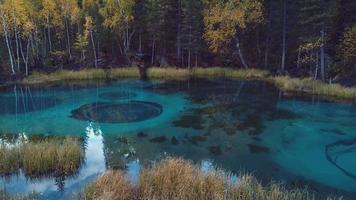 Autumn Forest and Geyser Lake with Clear Blue Water near the village of Aktash in the Altai Mountains, Russia video