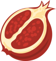 dessin animé illustration de fruits grenade png