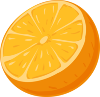 dibujos animados de ilustración de fruta naranja png