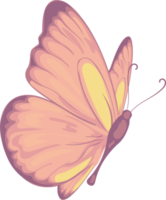 ilustración hermosa pintura de mariposa png