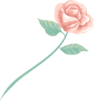 rosa blomma och botaniska blad digital målade png