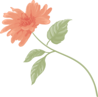 flor rosa e folha botânica pintada digitalmente