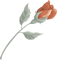 Rose Flower and botanical leaf digital painted png