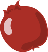 pomegranate fruit illustration cartoon png